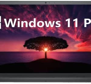 Dell Inspiron 3000 Busine...